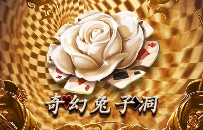五五世纪官网登录